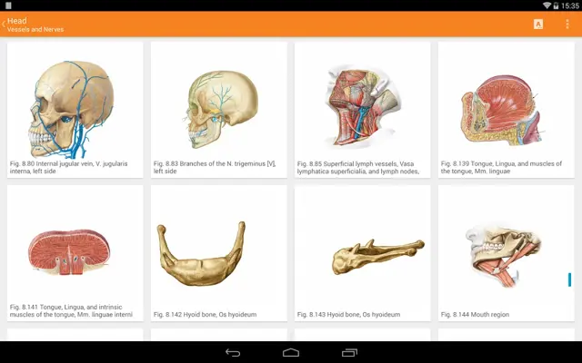 Sobotta android App screenshot 4